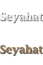 Seyahat